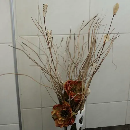 Apartman Daniel Mali Iz