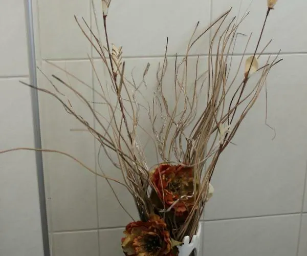 아파트 Daniel Mali Iž